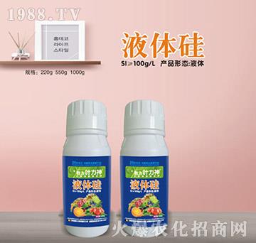 液體硅-施耐力