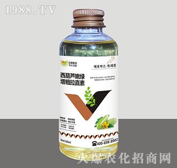 西葫蘆嫩綠增粗拉直素-匯豐植保