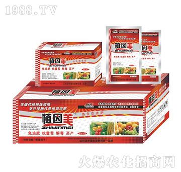 植因美小袋裝-德?tīng)柹? />
                                </div>
                            </div>
                            
                            <style type=