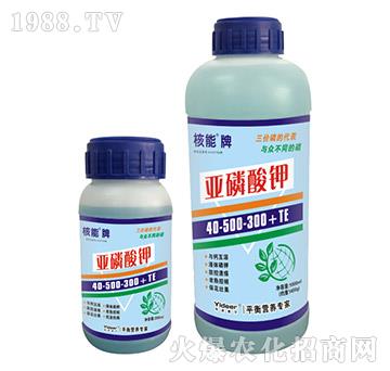 核能牌亞磷酸鉀40-500-300+TE-德?tīng)柹? />
                                </div>
                            </div>
                            
                            <style type=