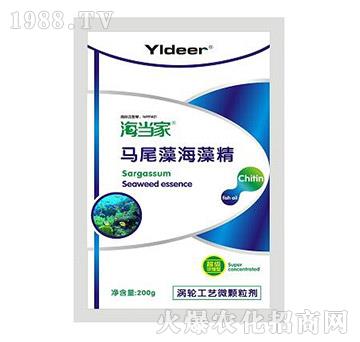 馬尾藻海藻精-海當家-德爾生物