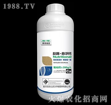 ��ø���Ҹ��}��1000g��-����ź�