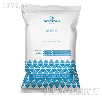 ������5-12-38+TE-ʩ����-�к̄���