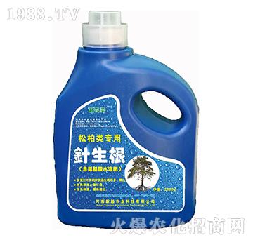 松柏類專業(yè)含氨基酸水溶肥-針生根-新超