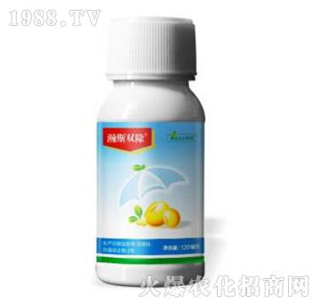 15%��ୡ����ǰ�-�