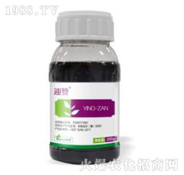 20%���ݿ�-ӭٝ-�