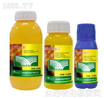 24%���ס�ݬȥ��-�˹���r(n��ng)ϲ-�˹����