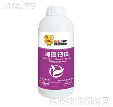 �����}�V-�A��-��ɭ�r��