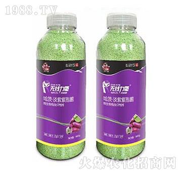 �o(w��)��(xi��n)����-�����-���A����(l��)