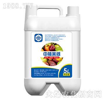 中植美溉-中植聯(lián)合