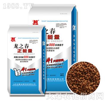 ������-��֮��-��������