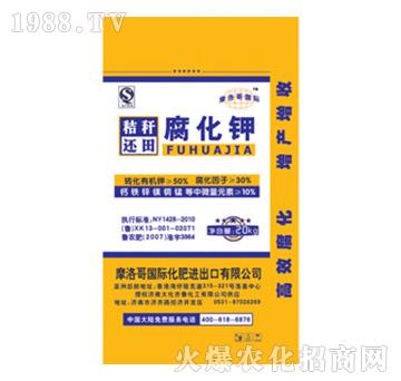 �ն�߀�︯���-���R��