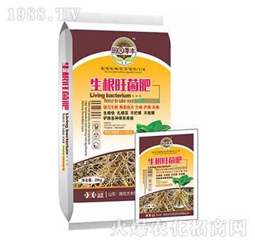 ����������-��@���S-