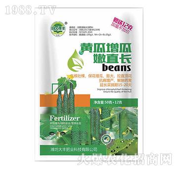 �S��������ֱ�L-��@��