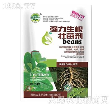 �����������焩-��@��