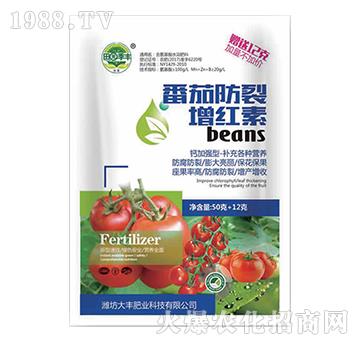 ���ѷ������t��-��@��