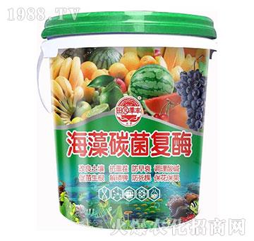 ����̼����ø-��@���S