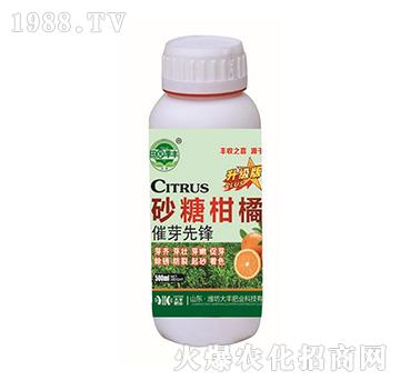 ɰ�Ǹ��ٴ�ѿ���h-��@