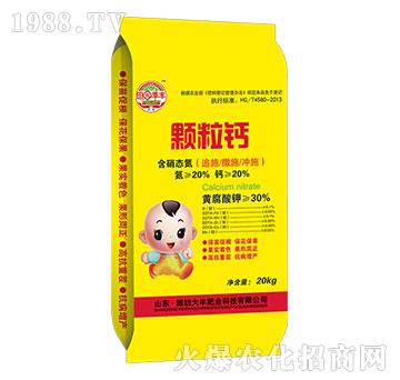 �w���}-��@���S-���S