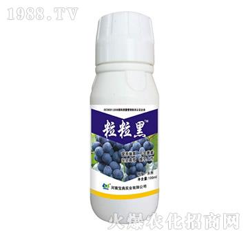 粒粒黑-寶典實(shí)業(yè)