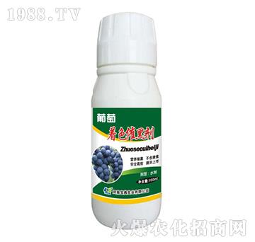 葡萄著色催黑劑-寶典實(shí)業(yè)