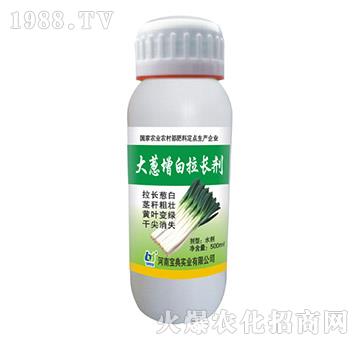 大蔥增白拉長劑-寶典實(shí)業(yè)