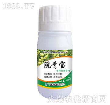 棗樹脫青專用脫青寶-寶典實(shí)業(yè)