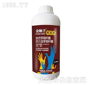 根多多-金順手-阿姆達(dá)