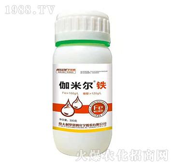 伽米爾鐵-羅思姆-木禾佳寶