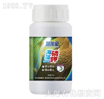 �������-�{(l��n)����