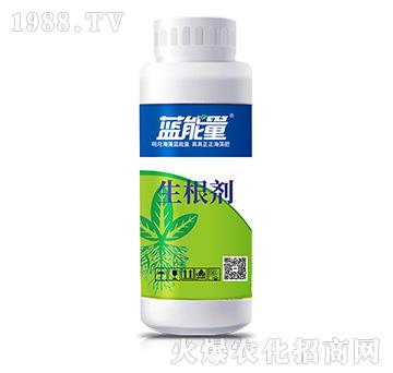 ������-�{����