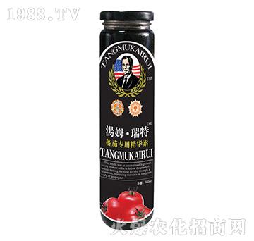 ެ�ь��þ��A��-��ķ������-�μ�