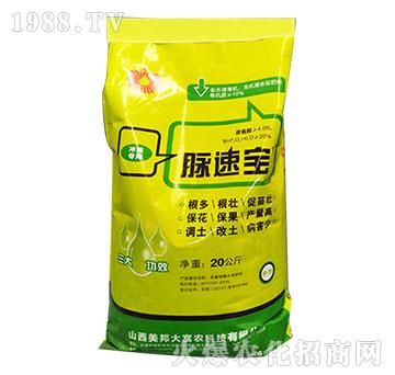 脈速寶-美邦科技