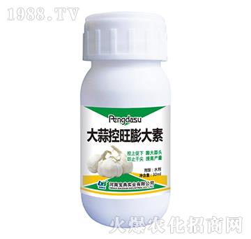 大蒜控旺膨大素-寶典實(shí)業(yè)