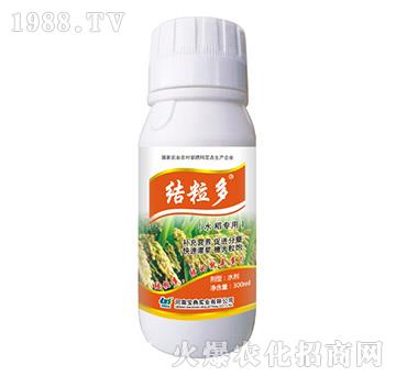 水稻專用-結(jié)粒多-寶典實(shí)業(yè)