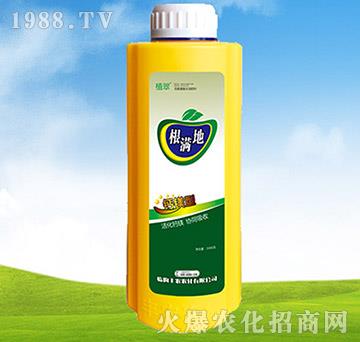 根滿地-植翠-豐農(nóng)農(nóng)化