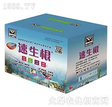 速生根（盒）-海法