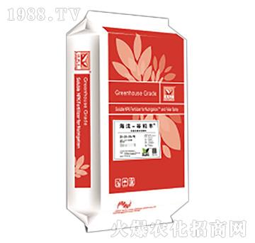 海法谷粒豐-海法