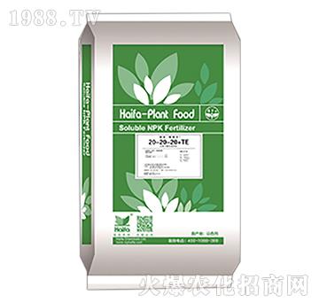 大量元素水溶水溶肥料20-20-20+TE（綠）-海法魔瑞豐-海法
