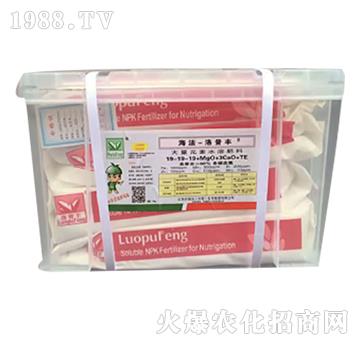 大量元素水溶水溶肥料19-19-19+MgO+3CaO+TE-海法洛普豐-海法