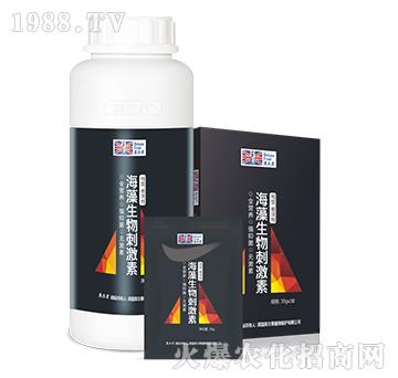 海藻生物刺激素-英爾果