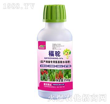高產辣椒專用氨基酸水溶肥-福駝-愛農斯達