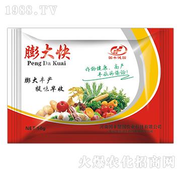 袋裝膨大快-國豐健園