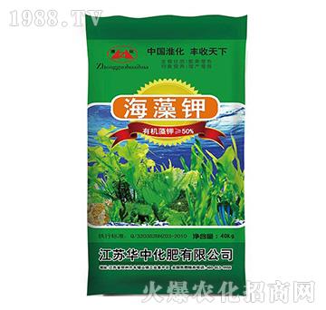 �����-�A�л���