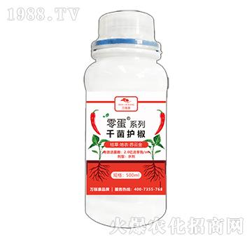 �㵰ϵ��-ǧ���o(h��)��-�f(w��n)�ڿ�