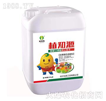 膨果著色增糖型-植知源-明英工貿(mào)