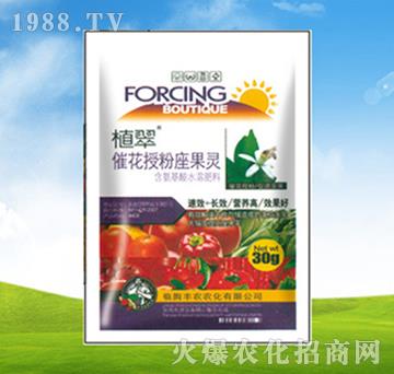催花授粉座果靈-植翠-豐農(nóng)農(nóng)化