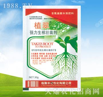 強力生根壯苗劑-植翠-豐農(nóng)農(nóng)化