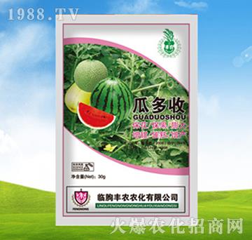 瓜多收-豐農(nóng)農(nóng)化