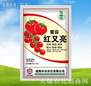 ���Ѽt����-�S�r�r��